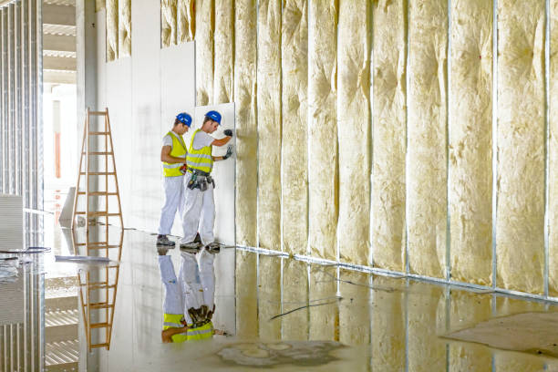 Professional Insulation Contractor in Calera, OK